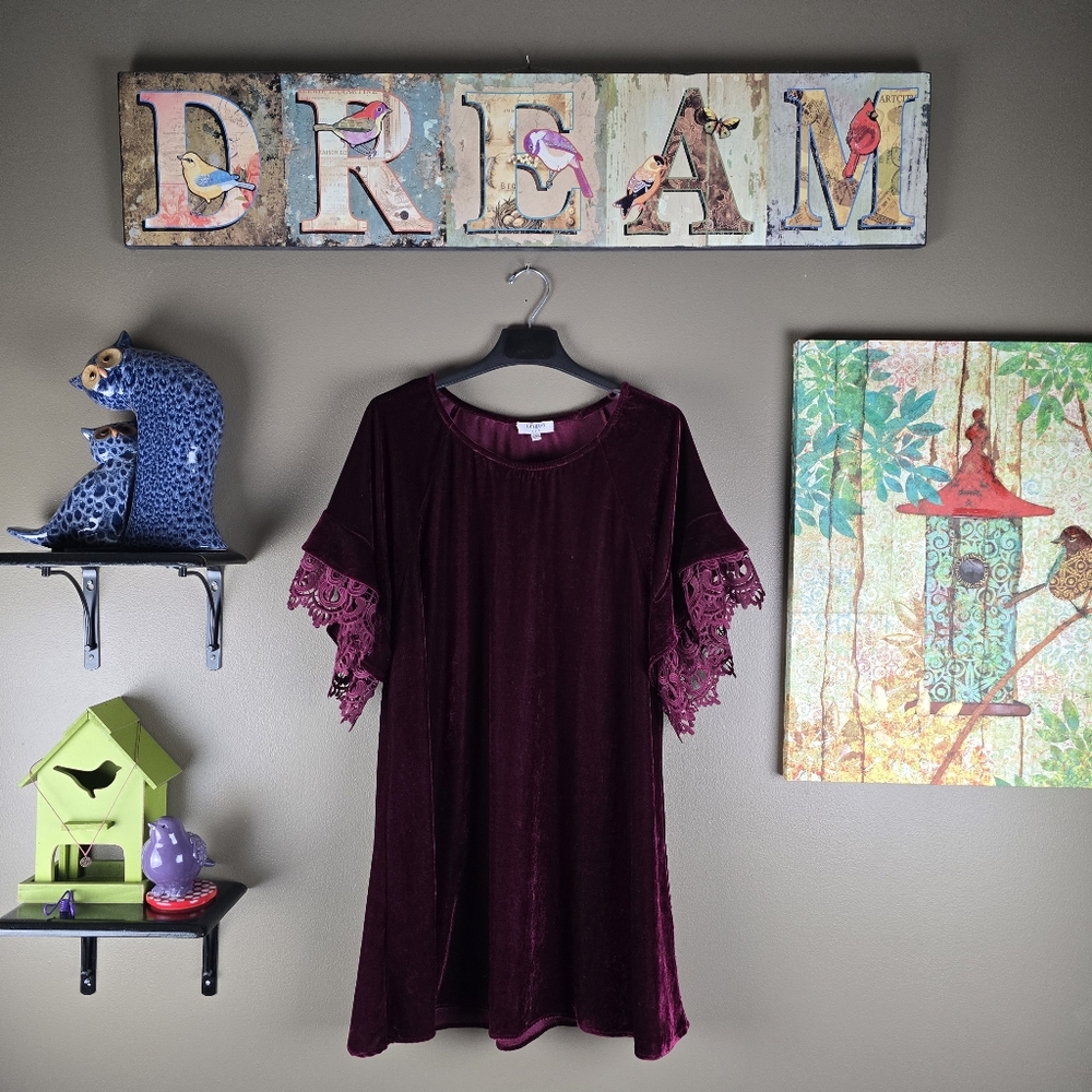 Umgee crushed velvet lace tunic top large